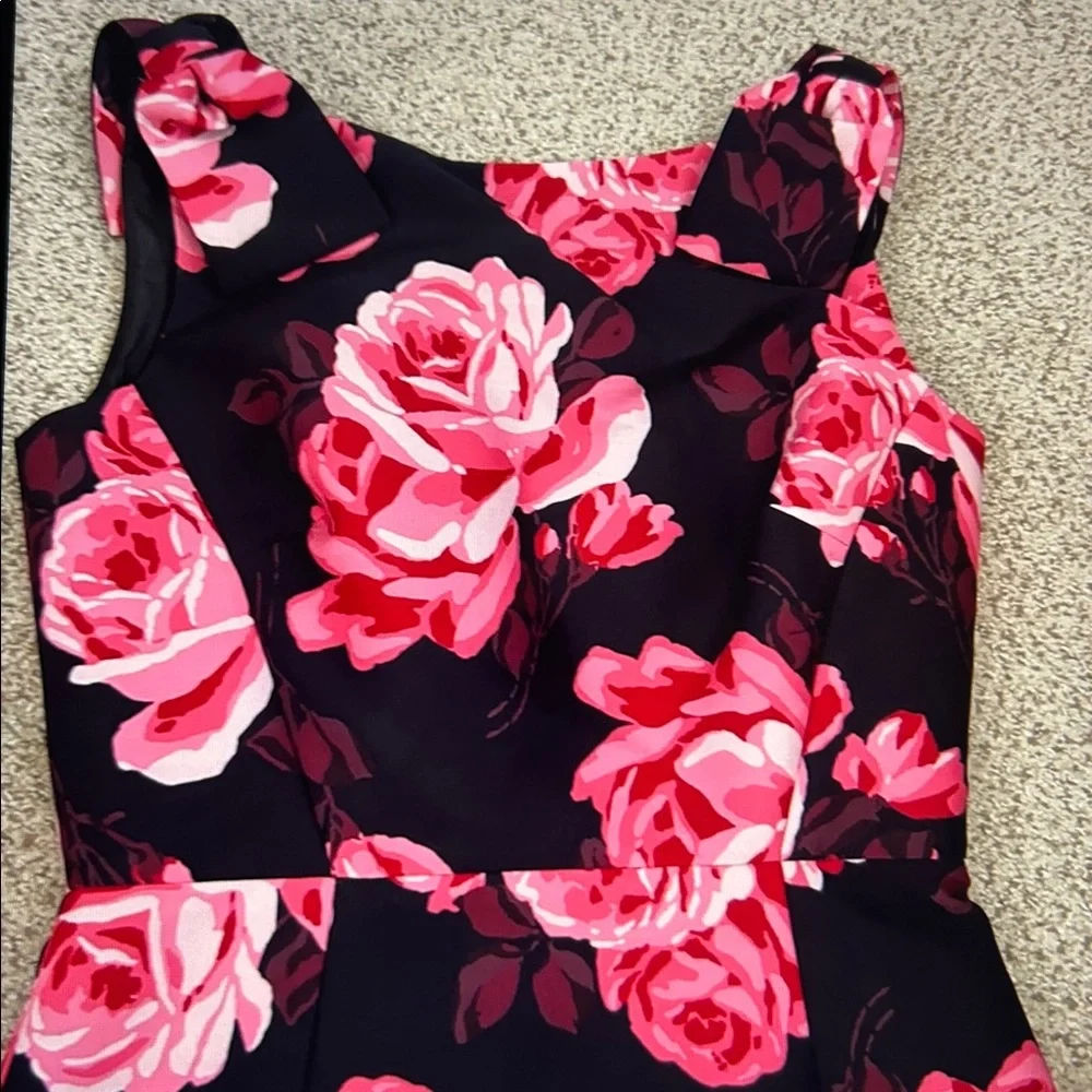 NWT Kate Spade “Rosa” A-Line Dress, 0
